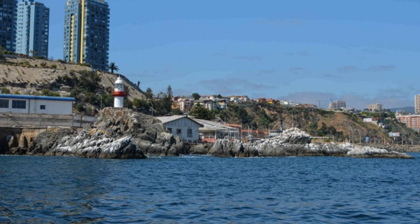 Vi&ntilde;amarina